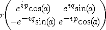 r \left(<br />\begin{array}{cc} e^{i p} \cos (a) & e^{i q} \sin (a) \\ -e^{-i q} \sin (a) & e^{-i p} \cos (a)<br />\end{array}<br />\right)<br />
